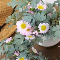 uploads/erp/collection/images/Home Garden/CongDing/XU0610986/img_b/XU0610986_img_b_3